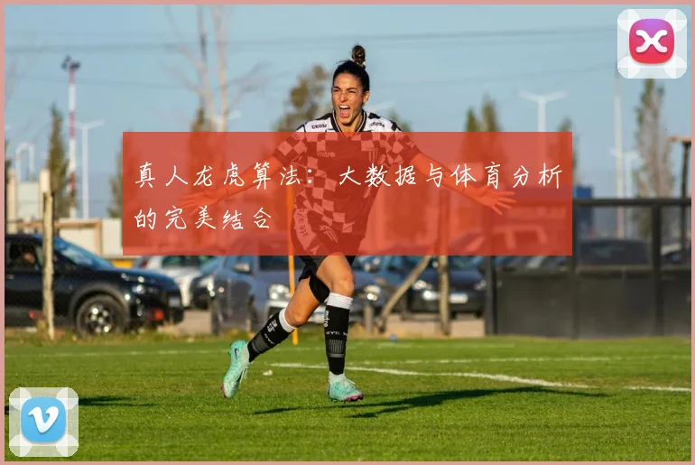 真人龙虎算法:大数据与体育分析的完美结合