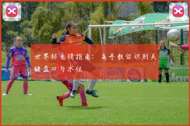 世界杯竞猜指南:高手教你识别关键盘口与水位