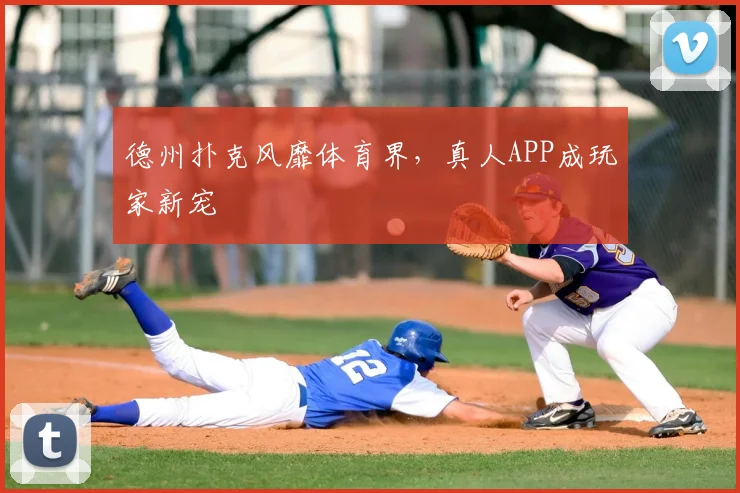 德州扑克风靡体育界，真人APP成玩家新宠