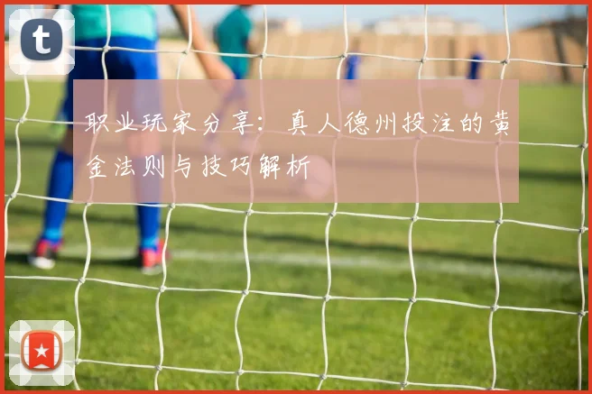 职业玩家分享:真人德州投注的黄金法则与技巧解析