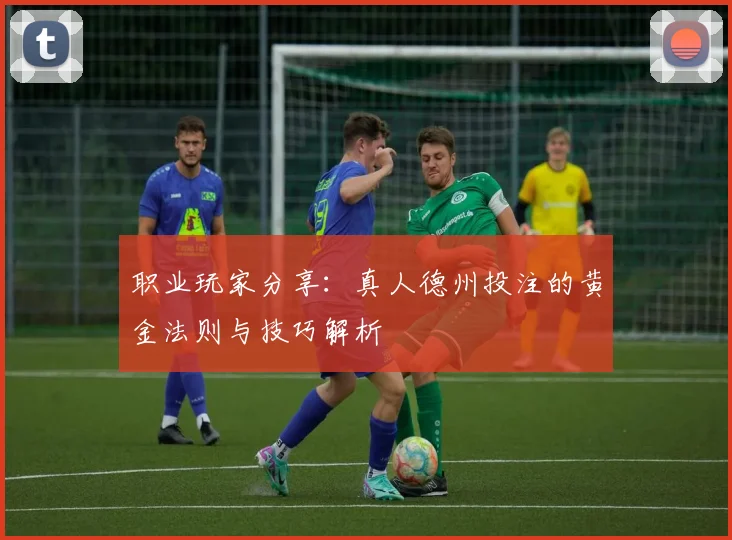 职业玩家分享：真人德州投注的黄金法则与技巧解析