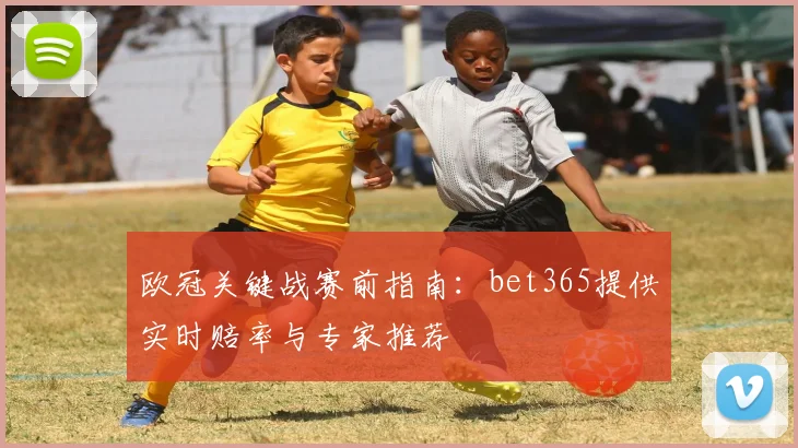 欧冠关键战赛前指南：bet365提供实时赔率与专家推荐