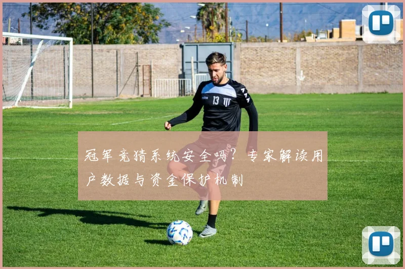 冠军竞猜系统安全吗?专家解读用户数据与资金保护机制